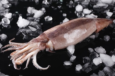 凍魷魚